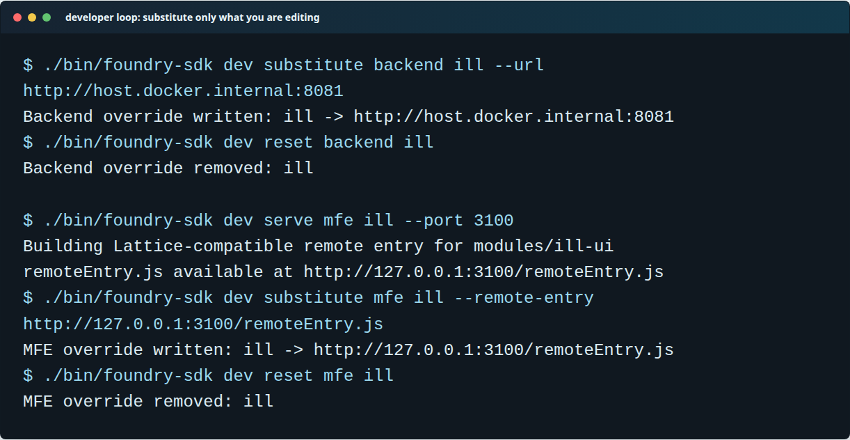 Terminal output showing backend substitution, frontend dev server startup, frontend substitution, and reset commands.